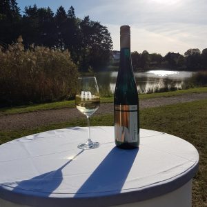 IMG-20180930-WA0019