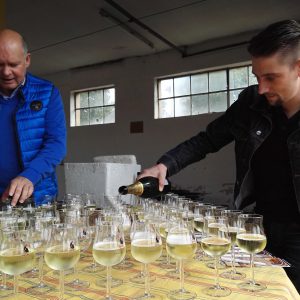 Weinwanderung 2015