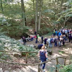 Weinwanderung 2015
