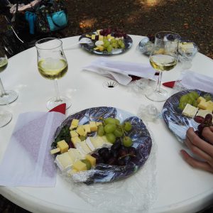 Weinwanderung 2015