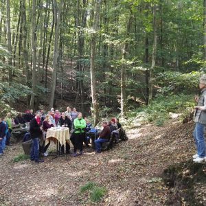 Weinwanderung 2015