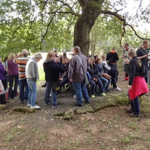 Weinwanderung 2015